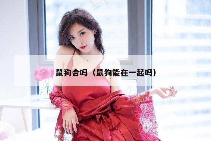 鼠狗合吗（鼠狗能在一起吗）