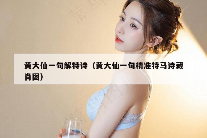 黄大仙一句解特诗（黄大仙一句精准特马诗藏肖图）