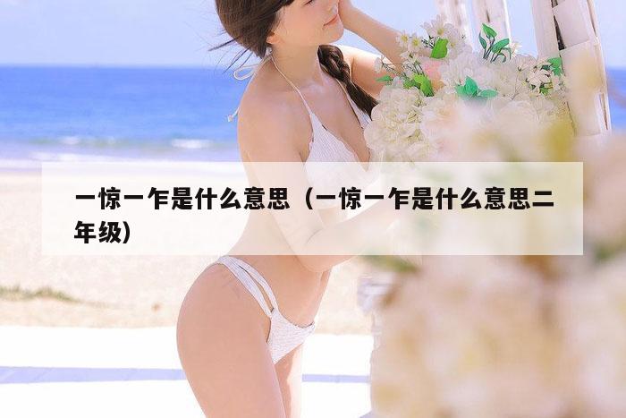 一惊一乍是什么意思（一惊一乍是什么意思二年级）