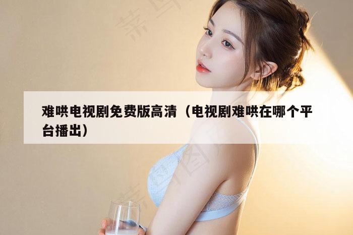 难哄电视剧免费版高清（电视剧难哄在哪个平台播出）